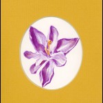 Keyhole Flower Purple